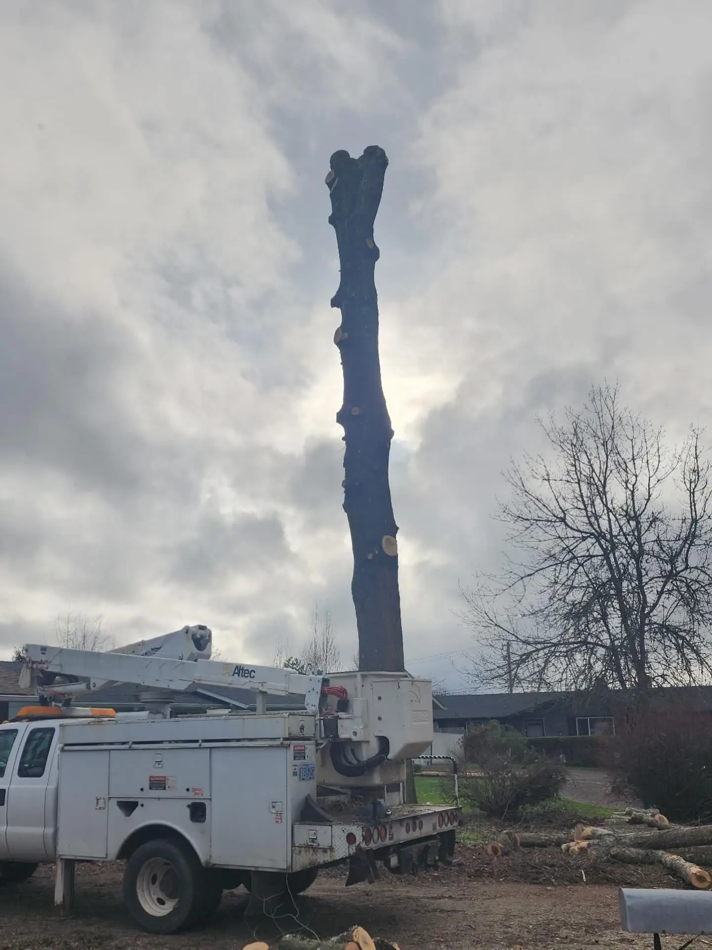 bucket truck tree service