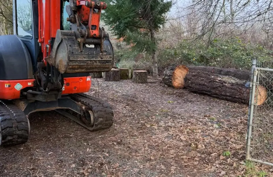 land clearing services