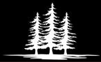 Woodside Property Services