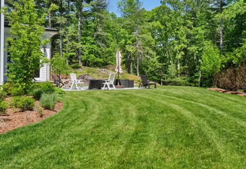 suburban yard rejuvenation target suburban yard rejuvenation target