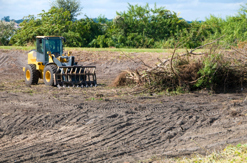 Vegetation Removal