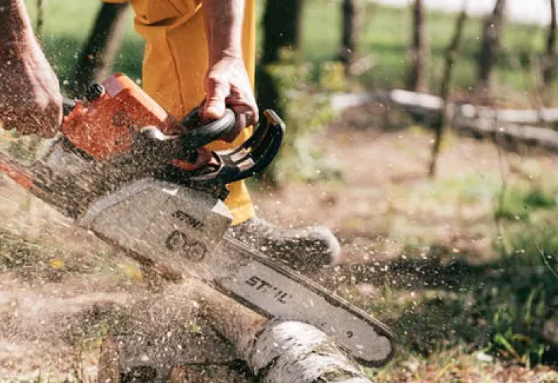 confidence driven tree removal services
