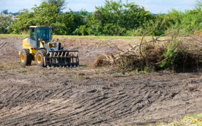 Eugene Vegetation Removal Tips Before Site Development